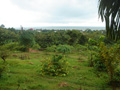 gal/04 - Kep/_thb_RIMG1992.jpg